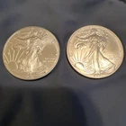 2021 American Silver Eagle - Type  1 & Type 2 - 2 Coins - 1oz Fine Silver