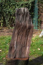 Mammutbaum - versteinertes Holz - aus der N&auml;he von Leipzig - 42 kg - "Feenholz"
