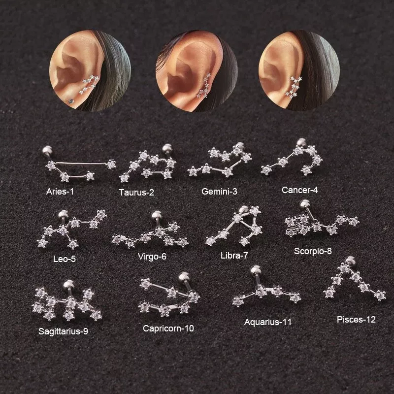 Zodiac Signs Twelve Star Constellation Horoscope Cartilage Earring