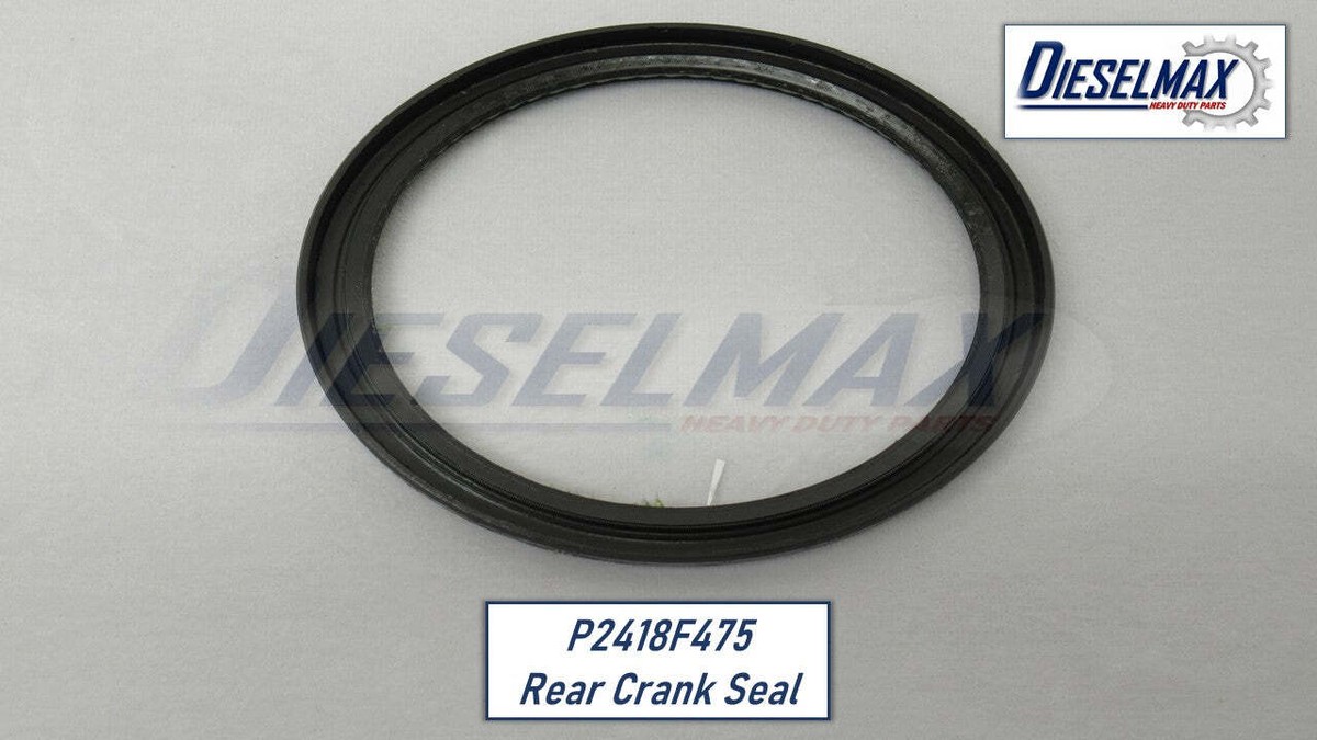 ペリーコ PELLICO 0531 VENERE 80 SC 37 Shop - Vicenza (VZ) - Spinneybeck