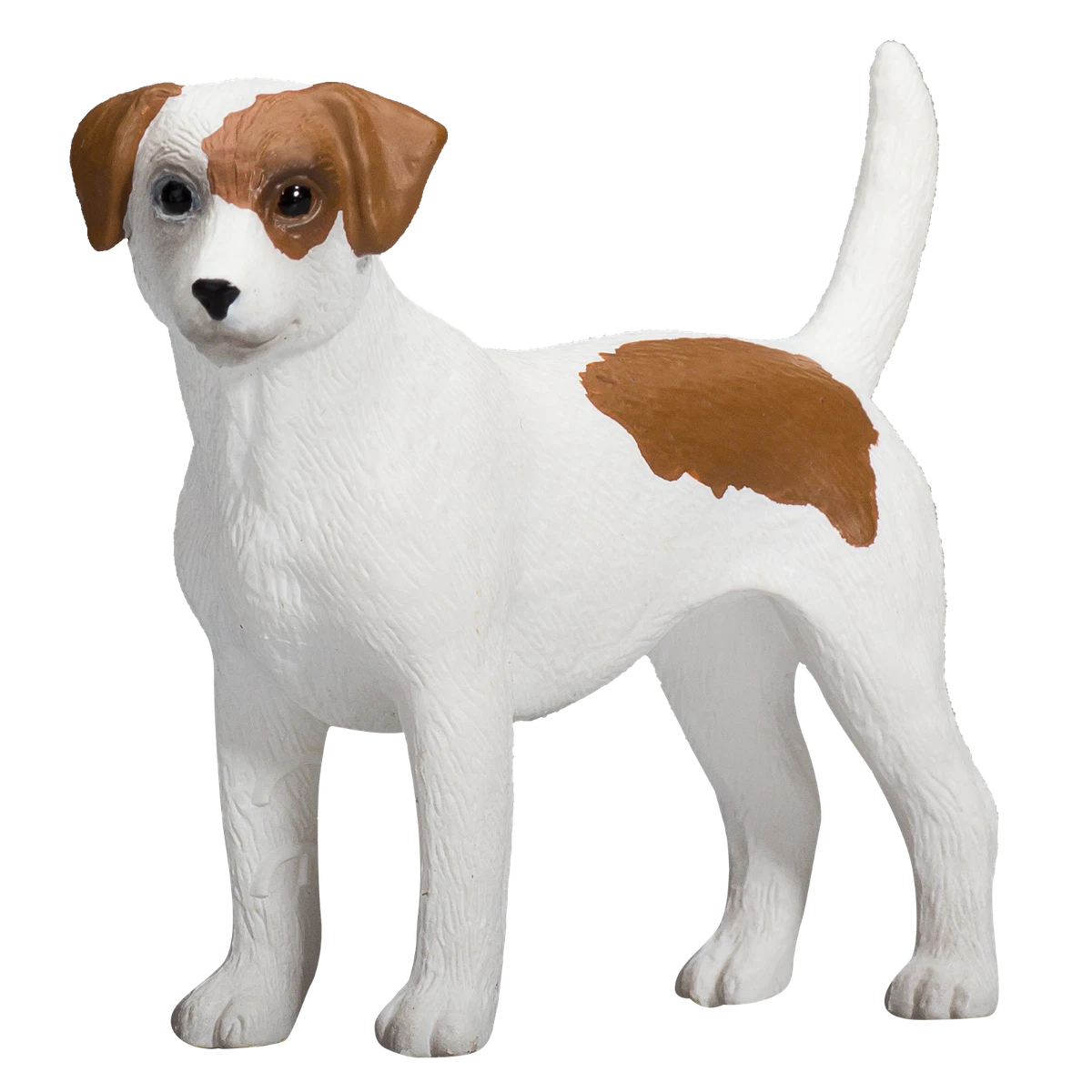 Toy jack cheap russell terrier