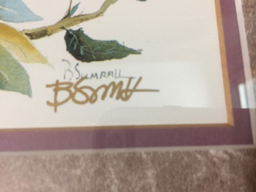 B. Sumrall "Hummingbird Too" Lithograph-Signed/Matted/Framed-12x12 - Picture 6 of 8