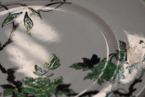 VTG Shelley Ovington 8" Salad Plate, Geen & Black Botanical Design - England - Picture 2 of 4