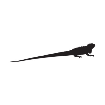 Iguana Lizard Reptile - Vinyl Decal Sticker - Multiple Colors & Sizes - ebn2855