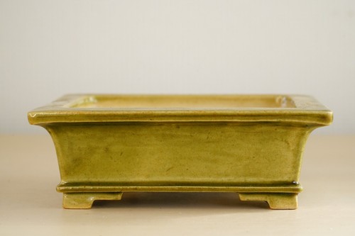 Japanese Bonsai Pot FUKUDA KEIUN 5.5"(14cm) Green Glazed Rectangle Y658 - Picture 4 of 13