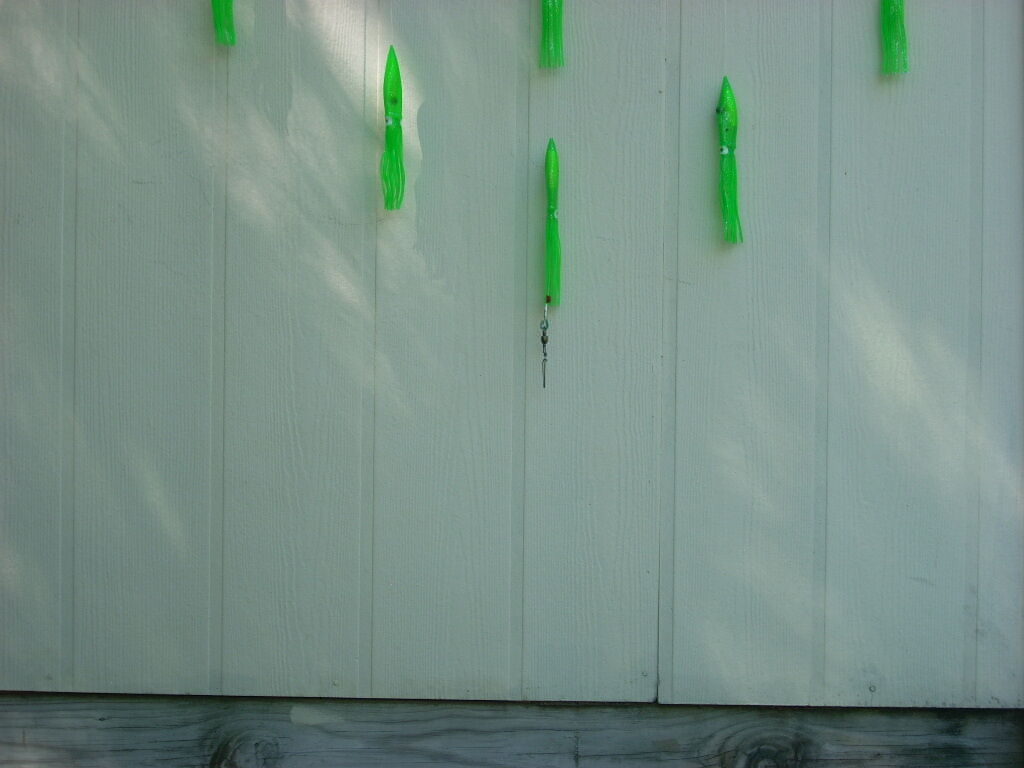 Picture 5 of 6