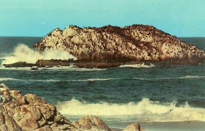 MONTEREY PENINSULA CALIFORNIA CA SEAL & BIRD ROCKS 17 MILE DR UNUSED ...