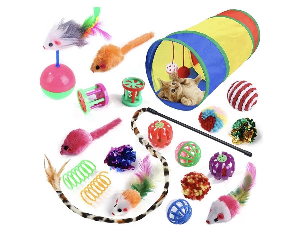 20 Pcs Cat Toys for Indoor Kitten, Collapsible Tunnel, Interactive Feather