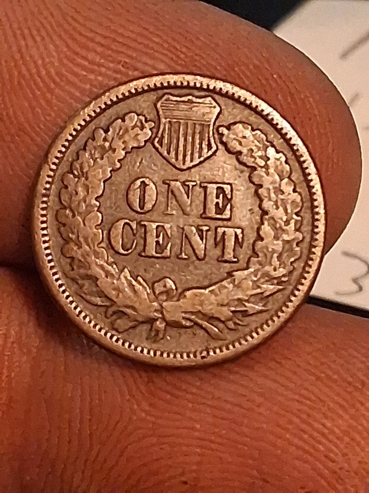 Bonito centavo cabeza india 1869 Foto 4 de 4