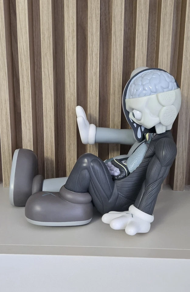 Kaws Resting Place Original Falso Diseccionado Companion Medicom 2013 Con Caja Foto 3 de 4