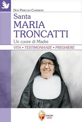 Pierluigi Camer Santa Maria Troncatti. Un cuore di ma (Taschenbuch) (US IMPORT)