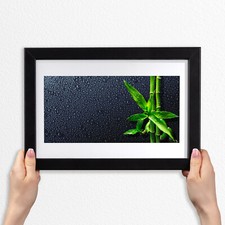 Cornici Legno MDF Foto Poster Cornice Moderna 30x20 Germogli di bambù