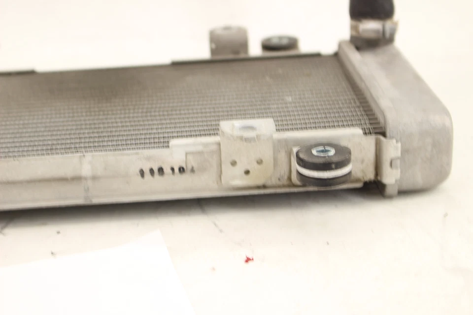 Kawasaki Ninja 300 Ex300B 2015 ABS motor fabricante original radiador motor enfriador refrigeración Foto 4 de 4