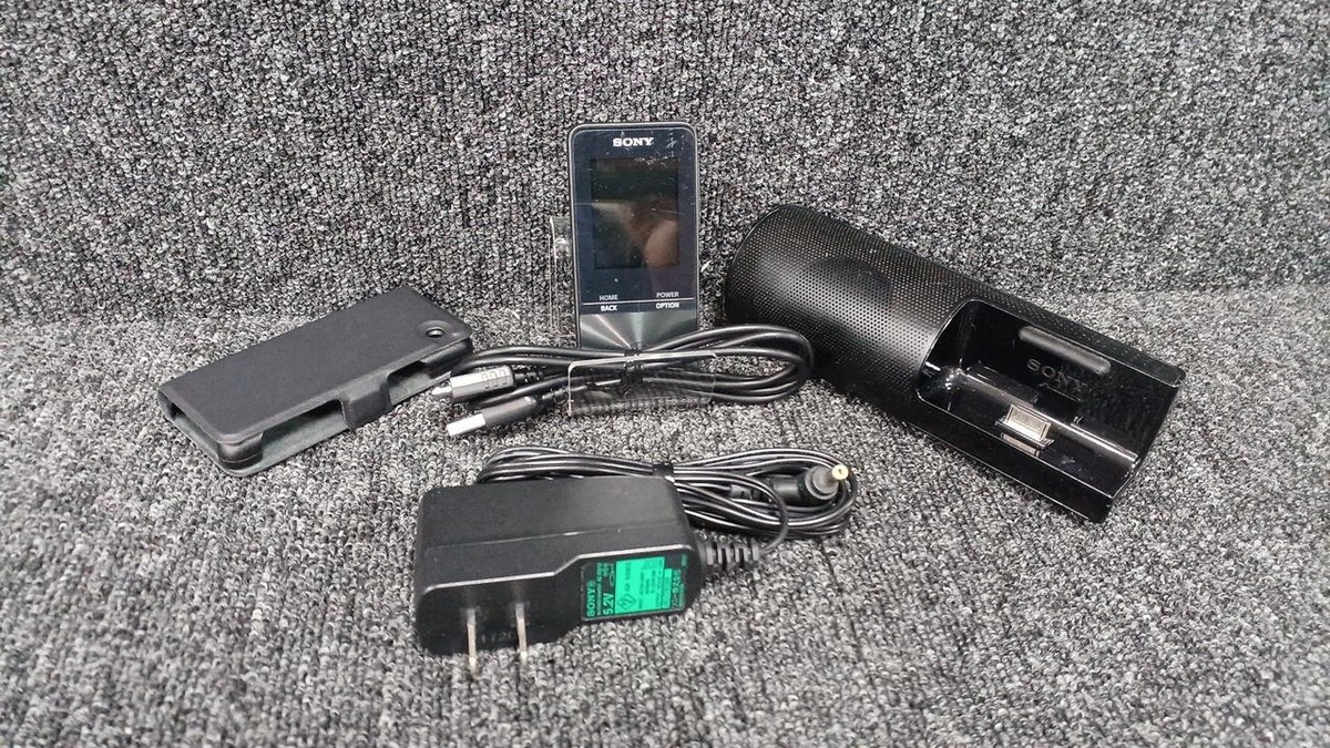 SONY　nw-s313 Sony (SONY) Walkman S series 4GB NW-S313: MP3 Player