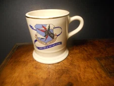 STRATEGIC AIR COMMAND Deputy Chief Of Staff 3900 CPUSS US Military CUP Mug Coffe