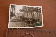 altes Foto - Pferdetreck - Soldaten auf Vormarsch ?