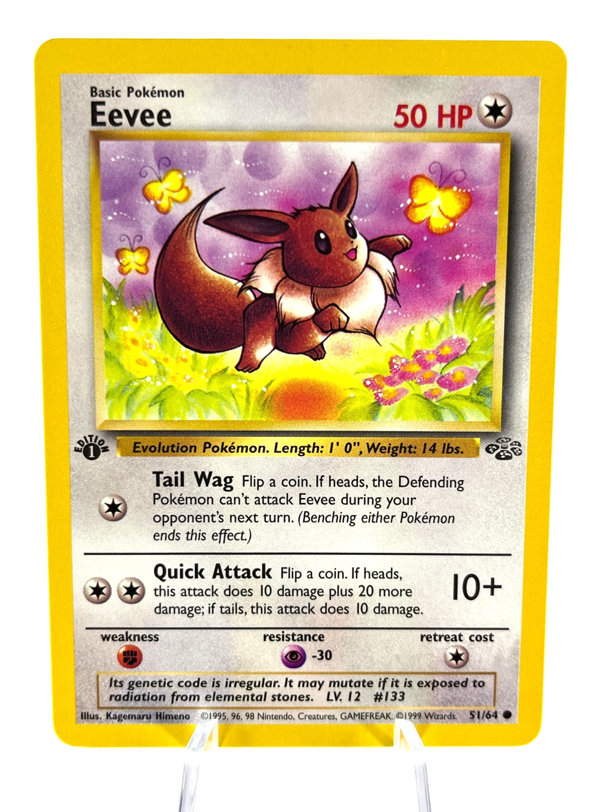 1st Edition Eevee 51/64 - Jungle - Common - Pokemon - NM