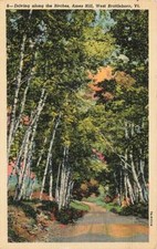 Driving Along Birches Ames Hill West Brattleboro 1946 Vintage P34