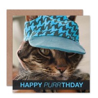 Alles Gute Zum Geburtstag Blaue Hut MüTze Karte Mit Katzenmotiv Geburtstagskarte