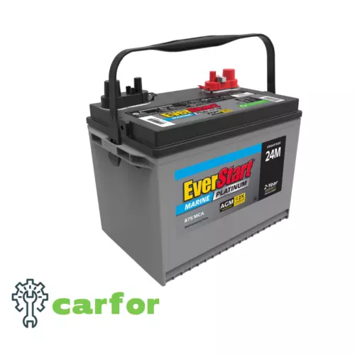 EverStart Platinum BOXED AGM Marine and RV Deep Cycle Battery Group Size 24M, 12