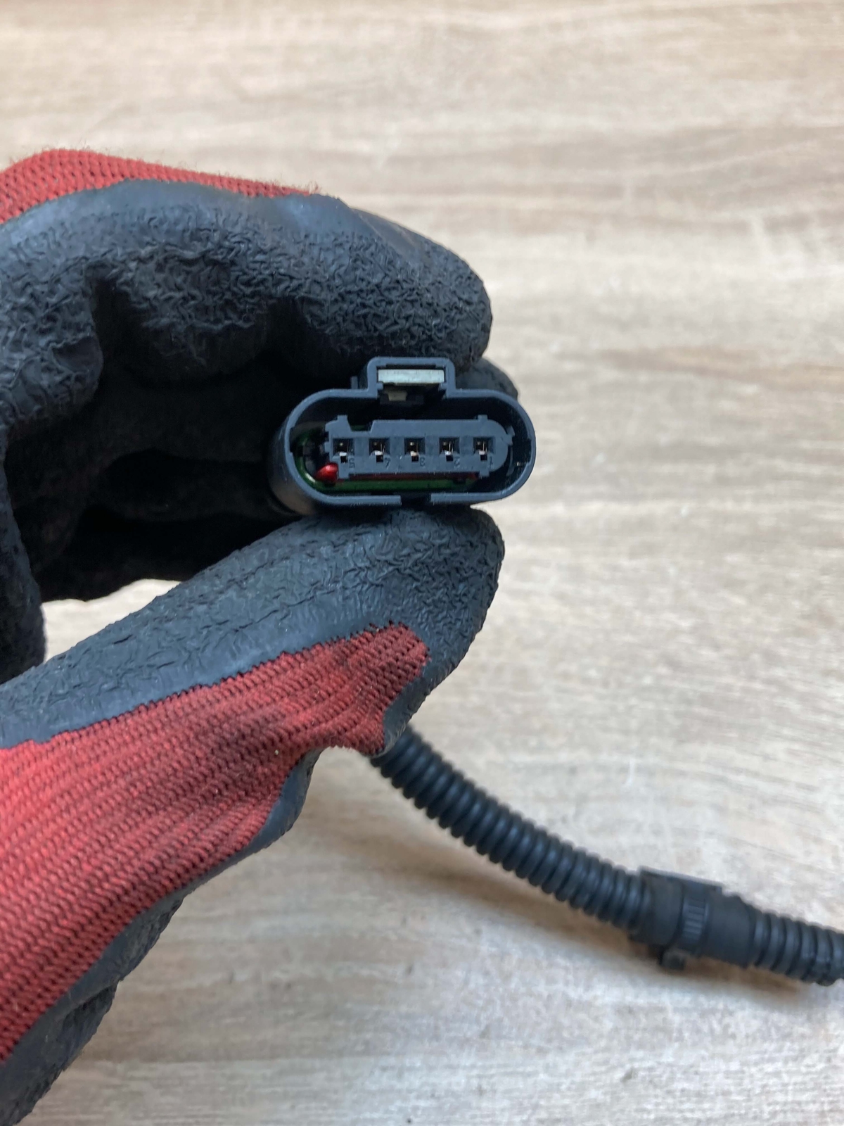 7804201 76628 BMW Engine ECU Connector Plug Socket 16809 LK | eBay 