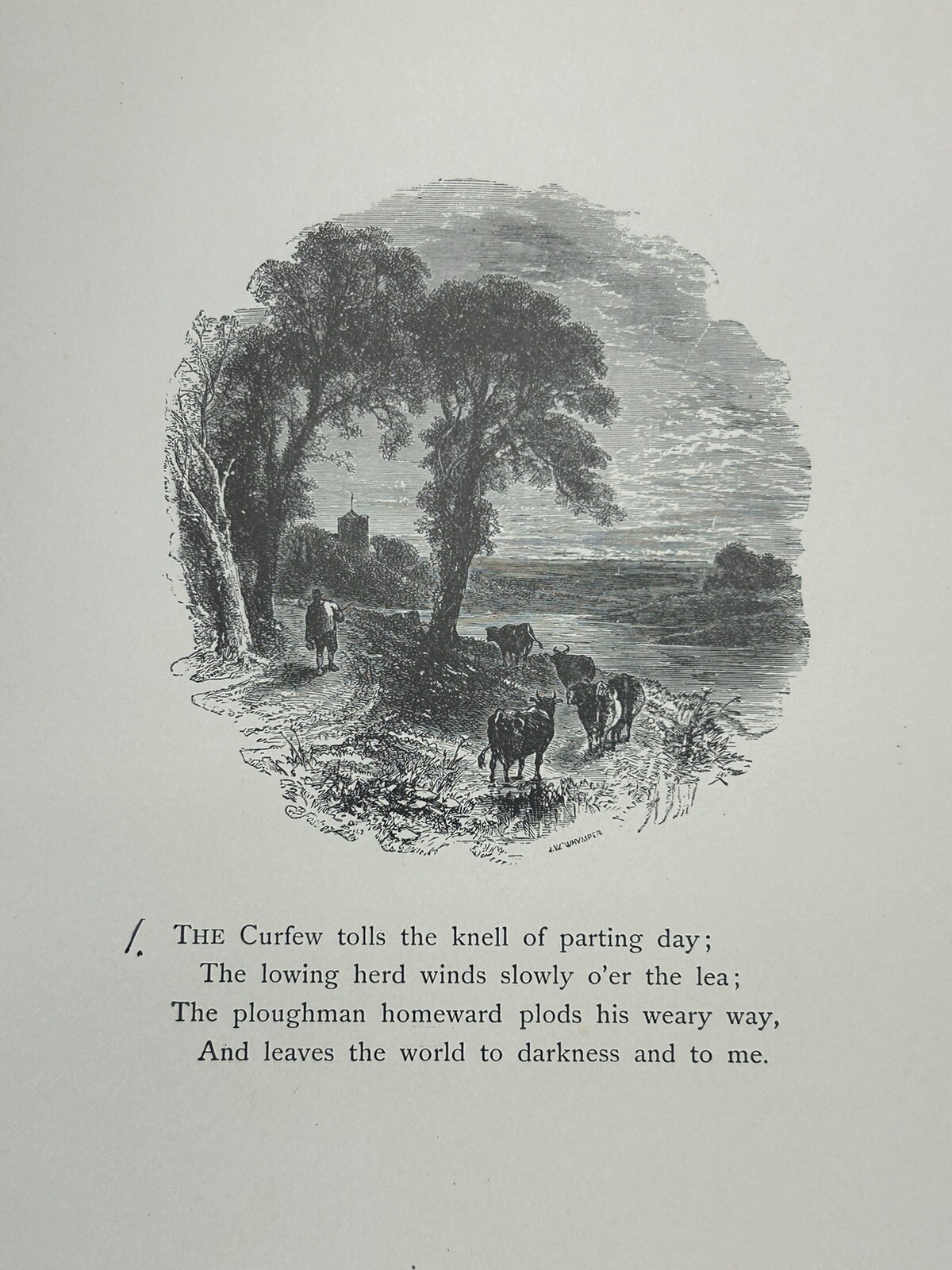 Picture 9 of 22