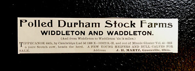 1903 J.H. Martz Cattle Advertising - Greenville - Ohio - Cow - Farm