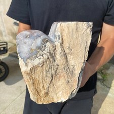 13.2lb Rare Natural Petrified Wood Rough Wood Fossil Mineral Specimen Healing