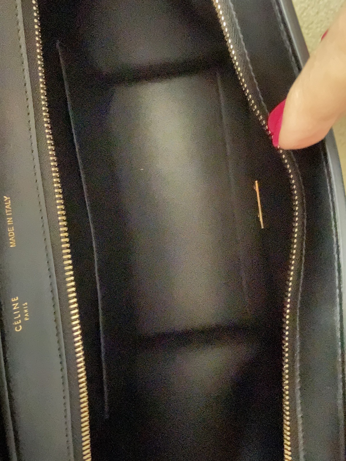 Celine Python Bag - image 6