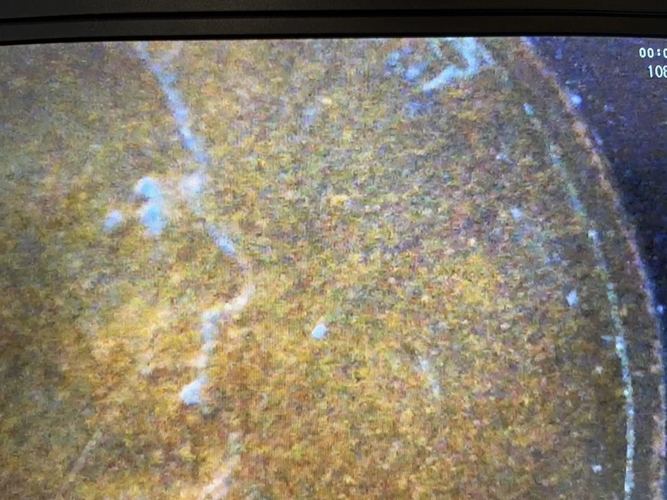 Centavo Lincoln Wheat 1909 VDB - Laminación + Grietas de troqueles Obv y Rev - Moneda de error rara Foto 3 de 3