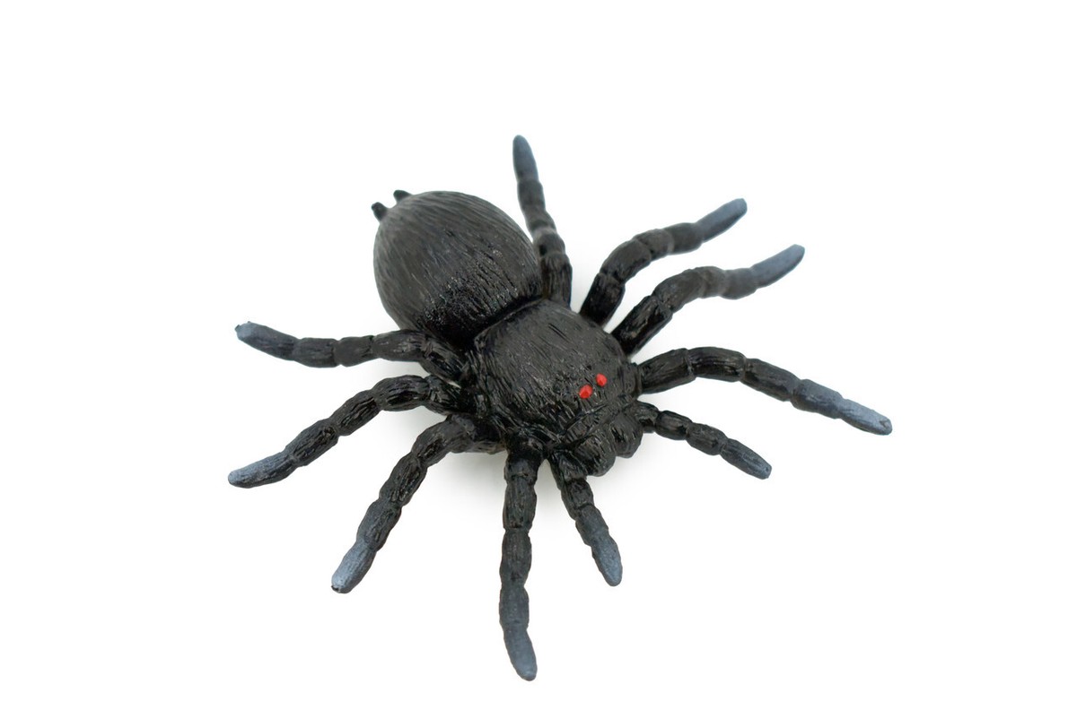 Spider Black Tarantula, Solid Rubber, Toy, Realistic Figure Model