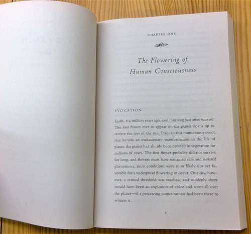 A New Earth: Awakening to Your Life's Purpose by Eckhart Tolle, 2008, paperback - Picture 12 of 12