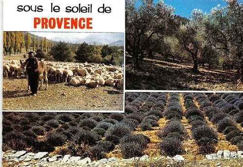 Under / Below to The Sun Of Provence - - 第 1/2 張圖片