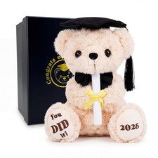 2026 Graduation Bear with Gift Box, 8 Inch Plush Teddy Bear for Kindergarten ...