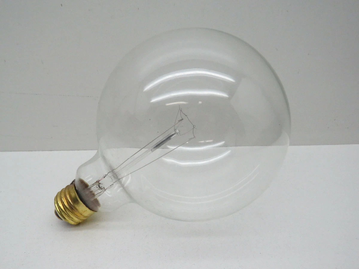 60 watt globe deals