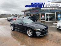 2019 Ford Mustang EcoBoost Premium - Navigation
