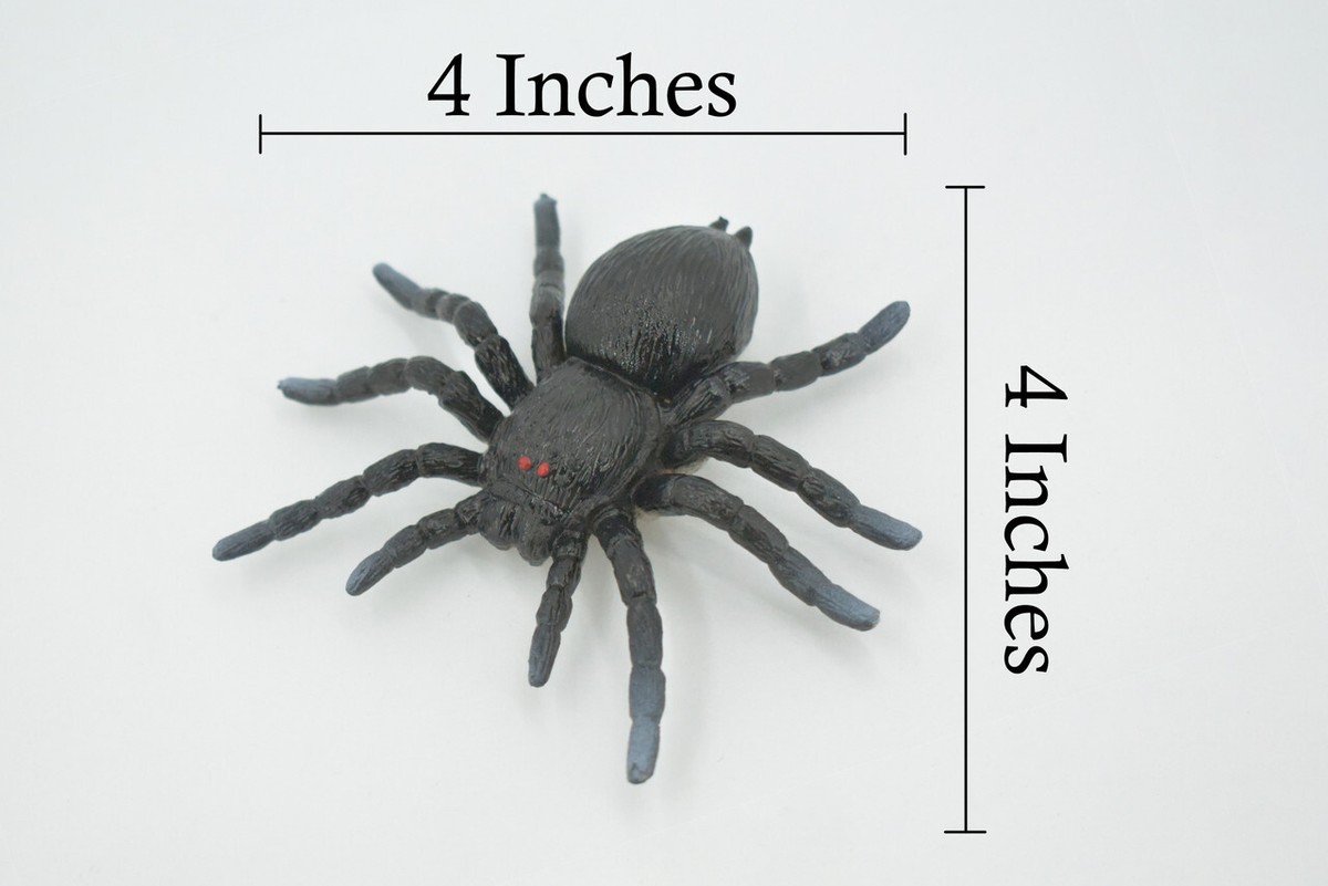 Spider Black Tarantula, Solid Rubber, Toy, Realistic Figure Model