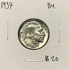 1937 Buffalo Nickel Bu
