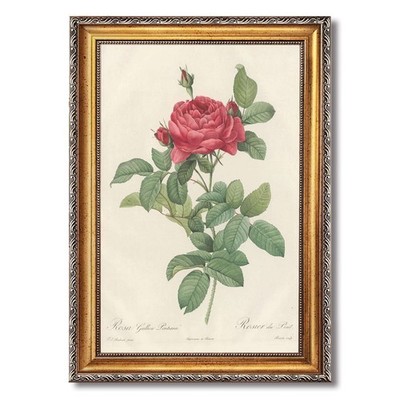 Red Rose Botanical Wall Art Canvas Oil Paintings Reproduction
