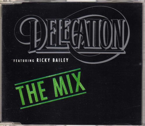 Delegation feat. Ricky Bailey ‎- The Mix - CDM - 1989 - House 3TR Touch Of Gold - Photo 1 sur 2