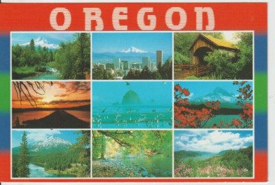 OREGON, USA - MULTIVIEW FARBPOSTKARTE