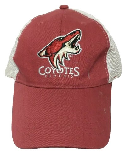Arizona Phoenix Coyotes NHL HOCKEY Gila River Casino  display picture 3