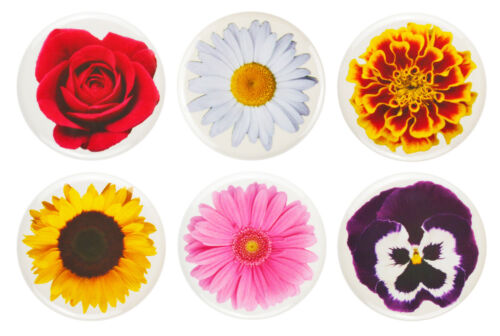 Flower Fridge Magnets - 32mm (1.25") - Rose, Sunflower, Daisy, - Gift & Kitchen - Picture 1 of 9