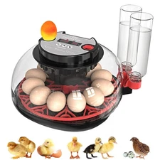 Incubators for Hatching Eggs: Chicken Quail Duck Bird Chick Egg Incubator Kit wi