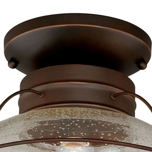 Chatham 1-Light Outdoor Ceiling in Coastal and Globe Style 12 Inches Tall and 13 - Picture 9 of 10