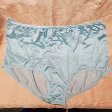 Vtg Sheer Panties Shiny Silky Nylon Gusset Plus Size 16 Sissy Sexy Granny Panty