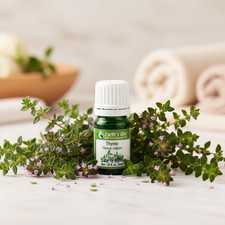 Thyme Essential Oil