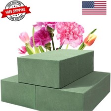 3 Pack Floral Foam Blocks 5.5" x 3.1" x 1.7" Wet and Dry Flower Foam for Flow...