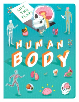 Human Body Lift the Flap Learning Book for Children (Board Book) Learning Facts