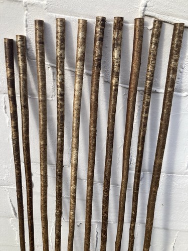 Hazel Walking Stick Shanks